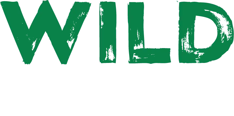 Wild Casino gives free spins no deposit no wager