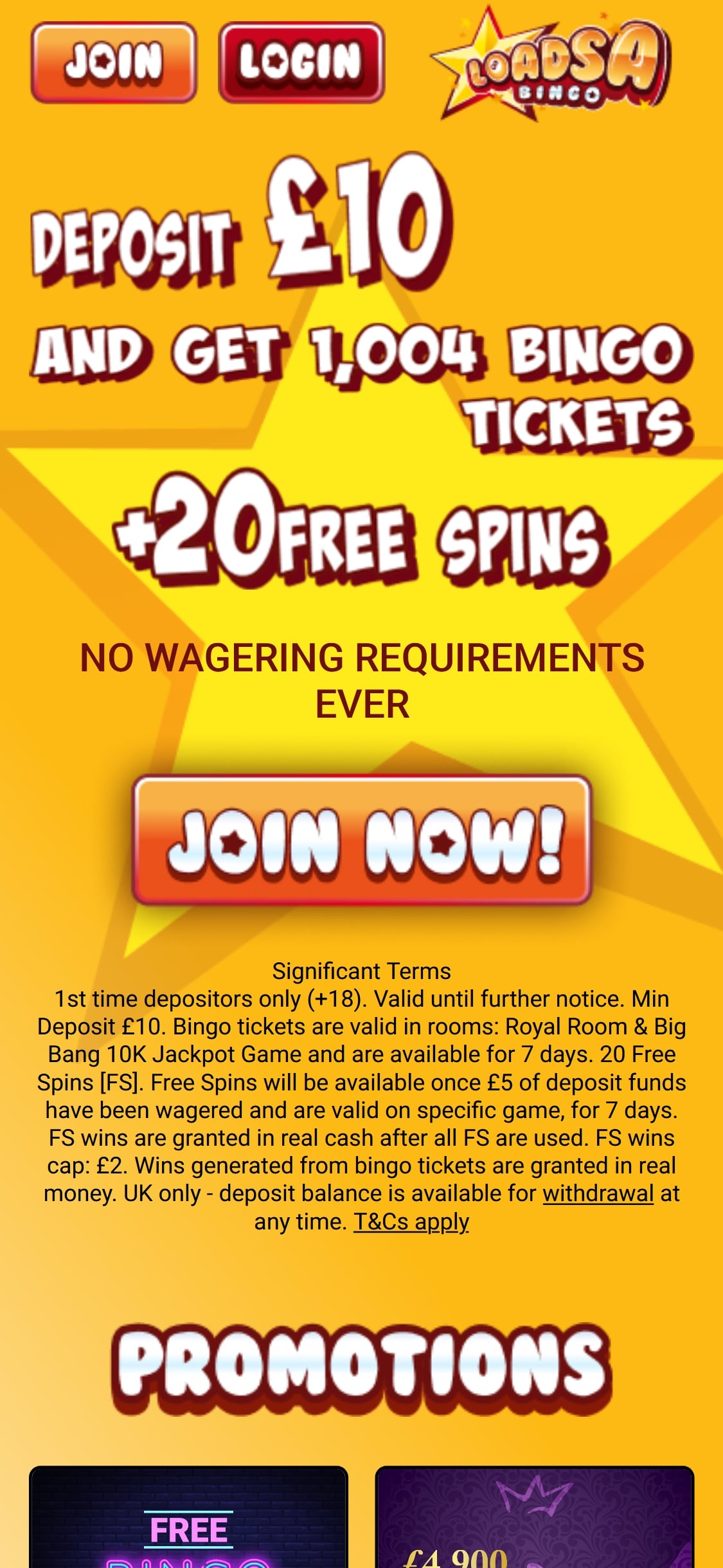 Loadsa Bingo Casino Mobile Review