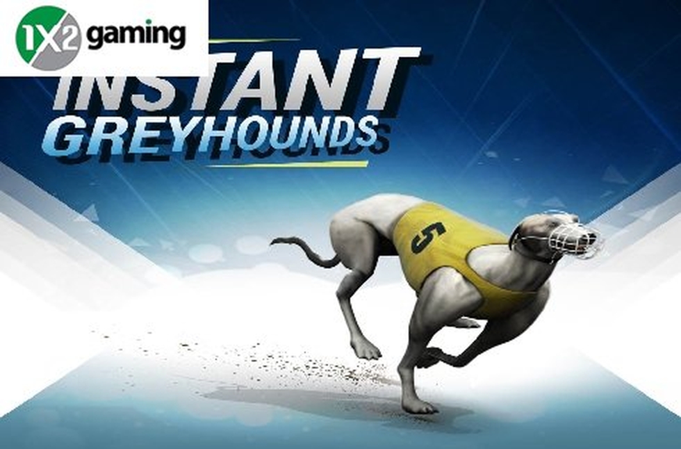 Instant Virtual Greyhounds demo