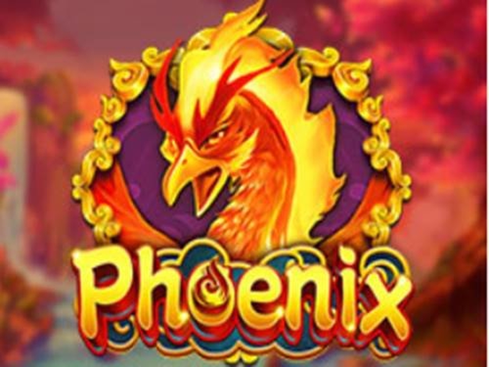 Phoenix demo