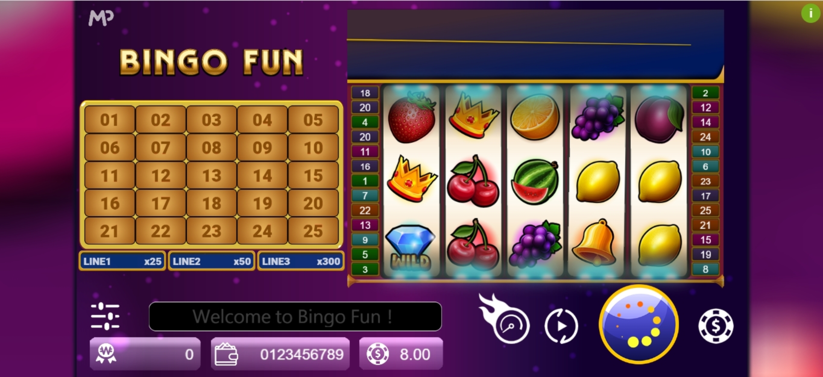 Reels in Bingo Fun Slot Game by Manna Play