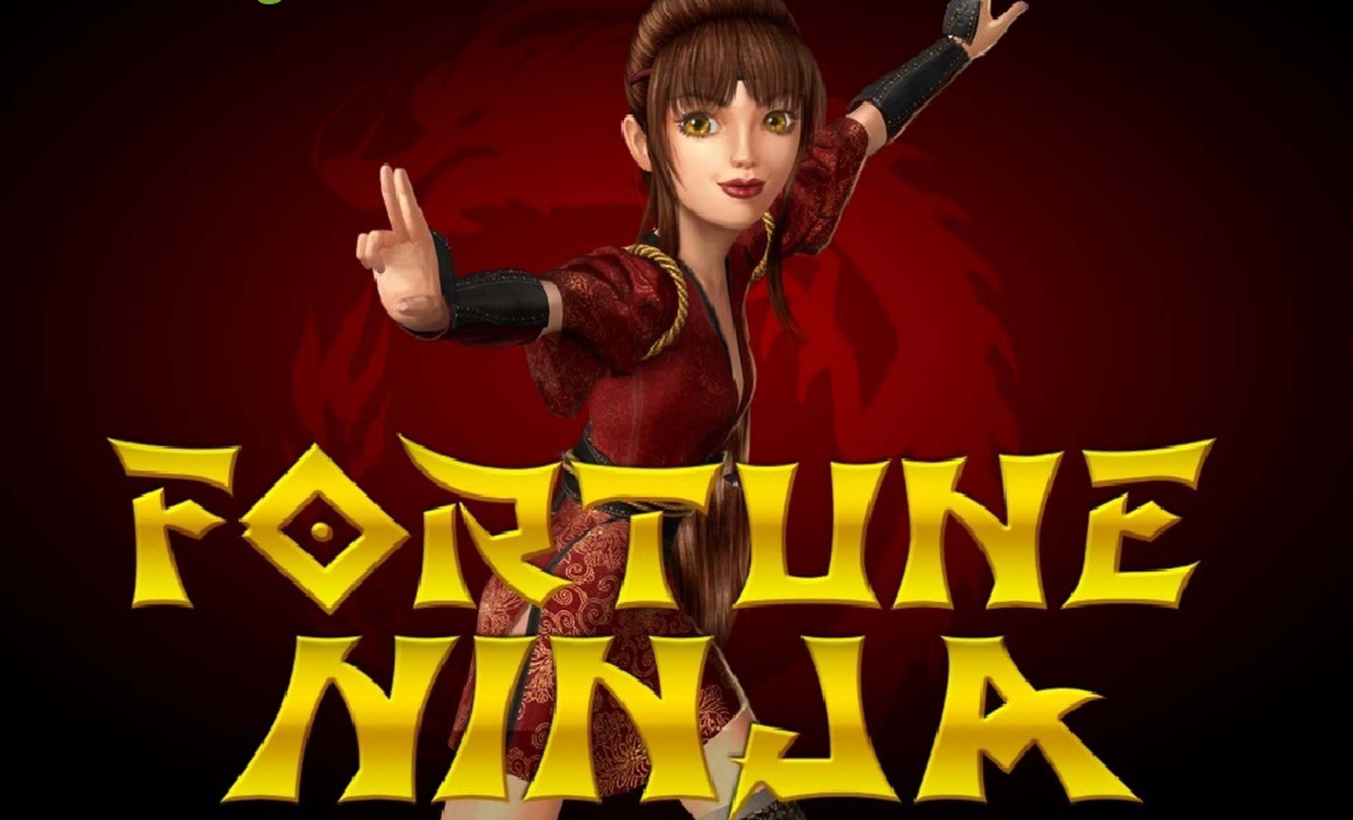 Ninja Fortune