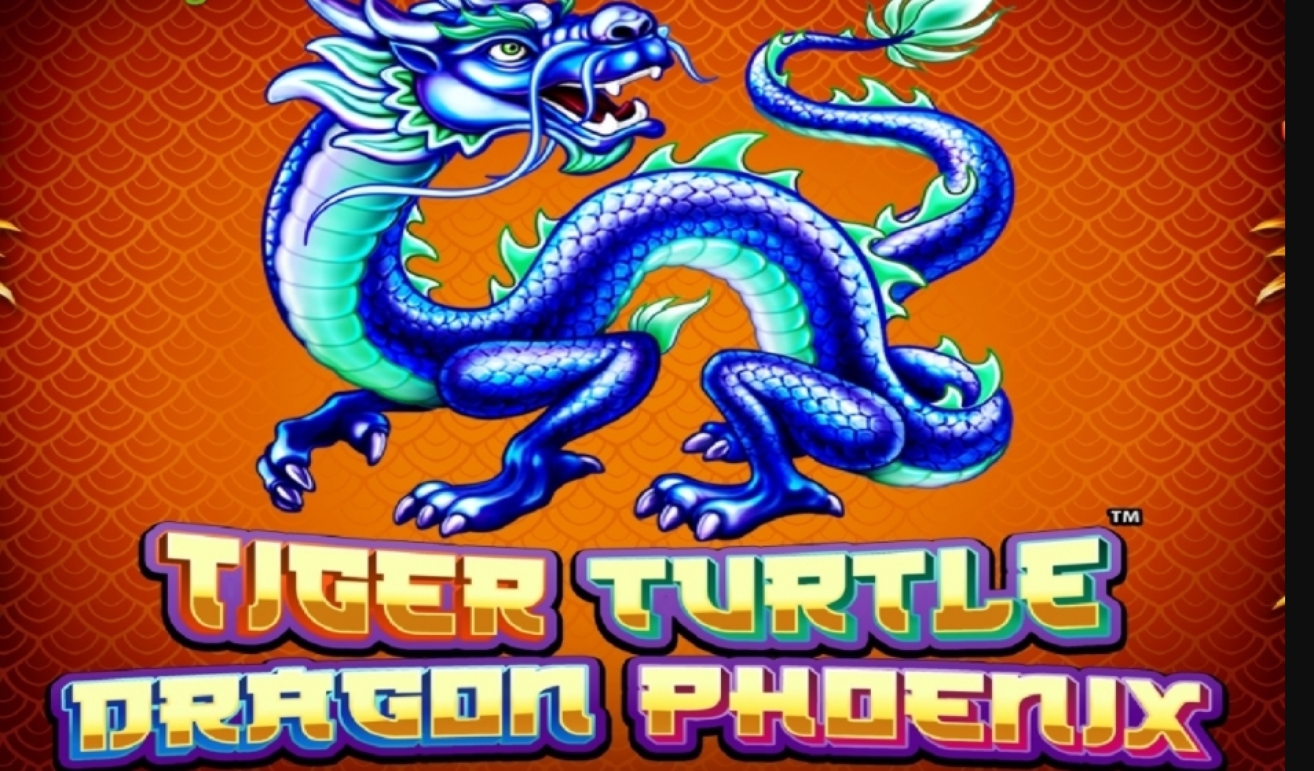 Tiger Turtle Dragon Phoenix demo