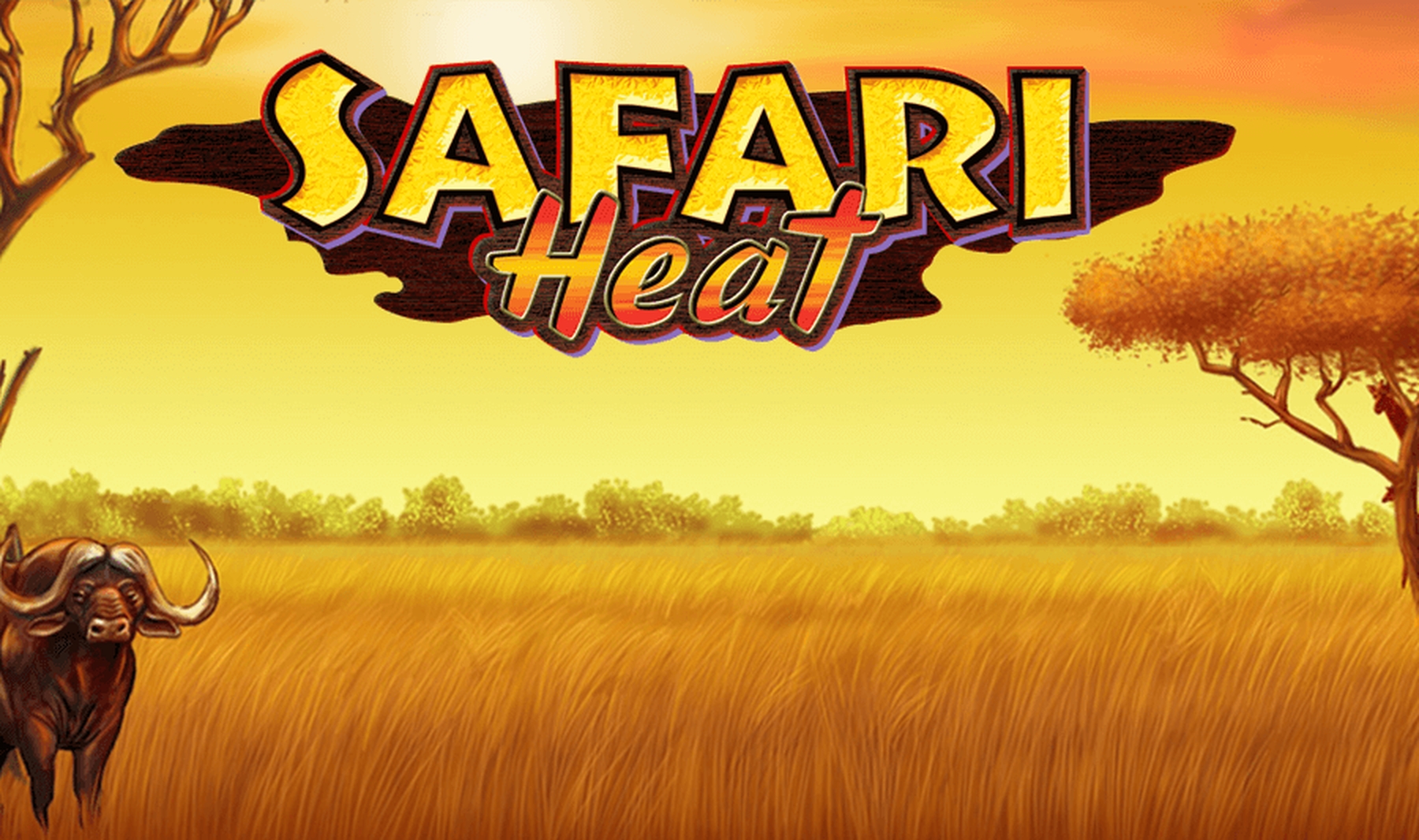 Safari (X Play) demo