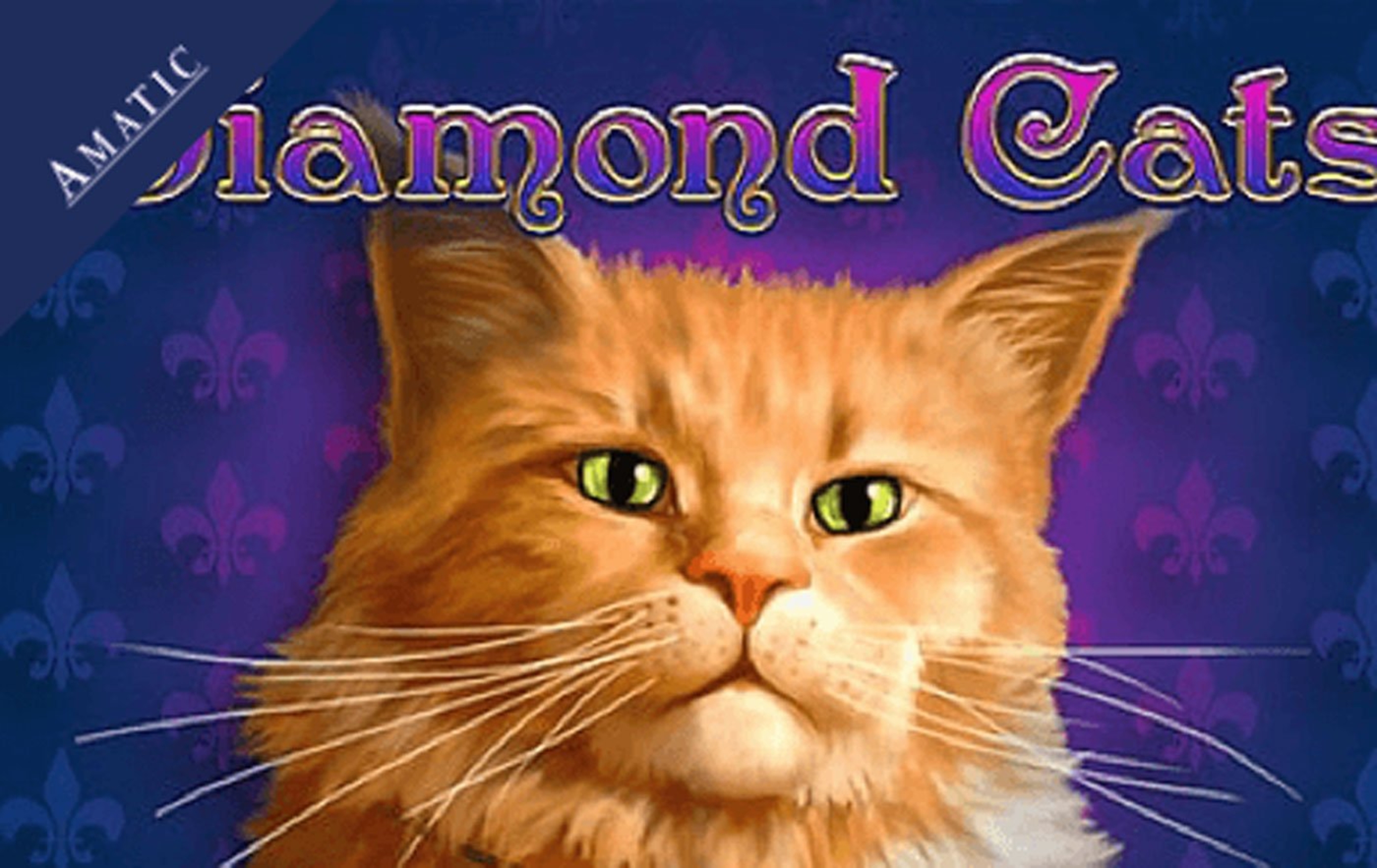 Diamond Cats demo