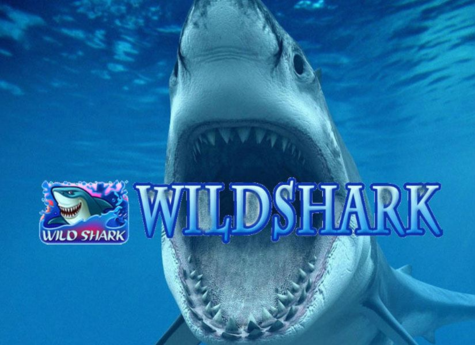 Wild Shark demo