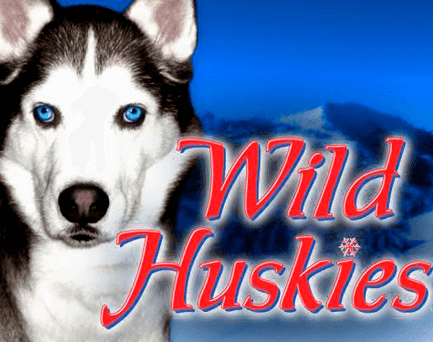 Wild Huskies demo