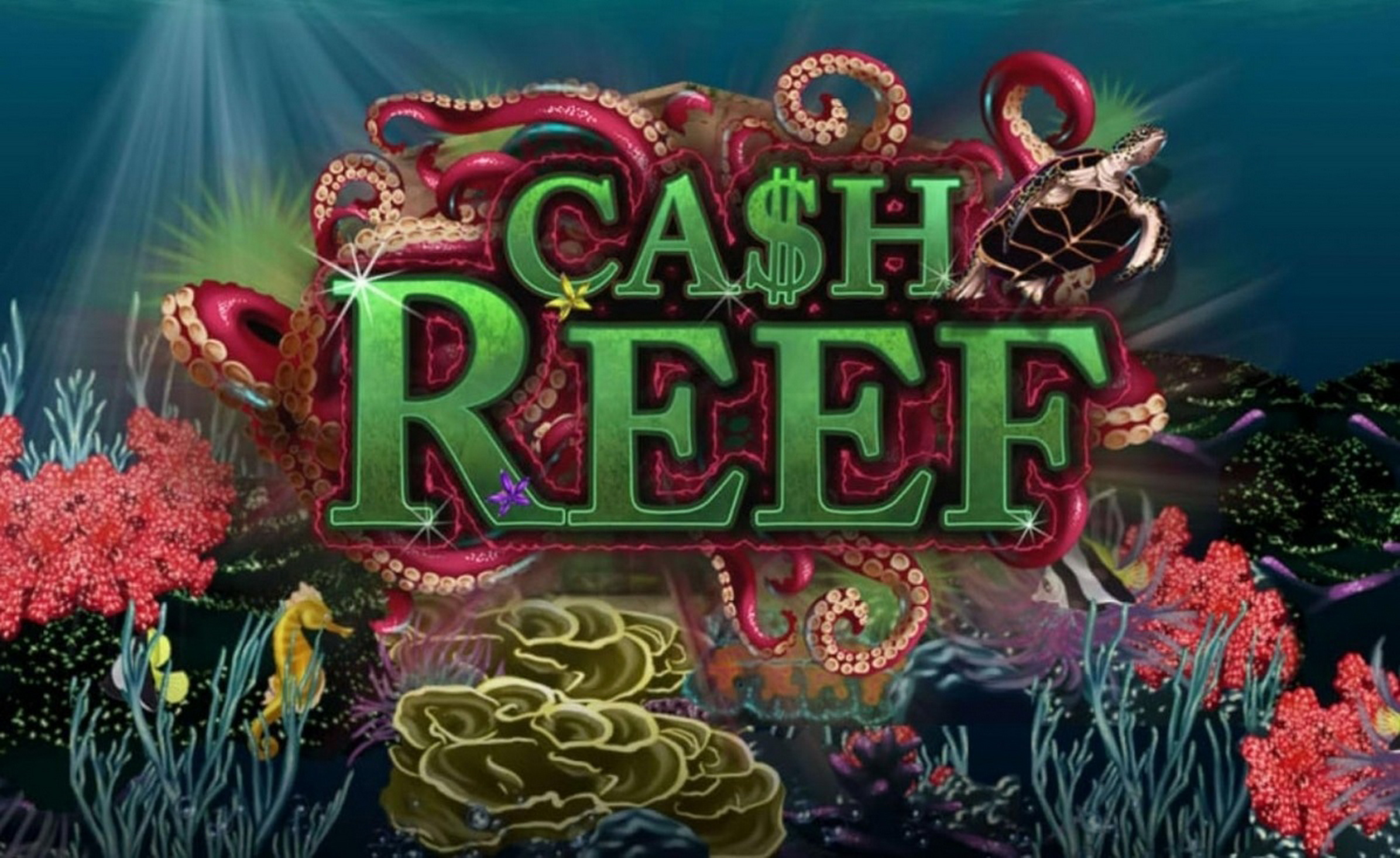 Cash Reef demo