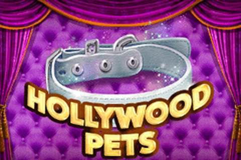 The Hollywood Pets Online Slot Demo Game by betiXon