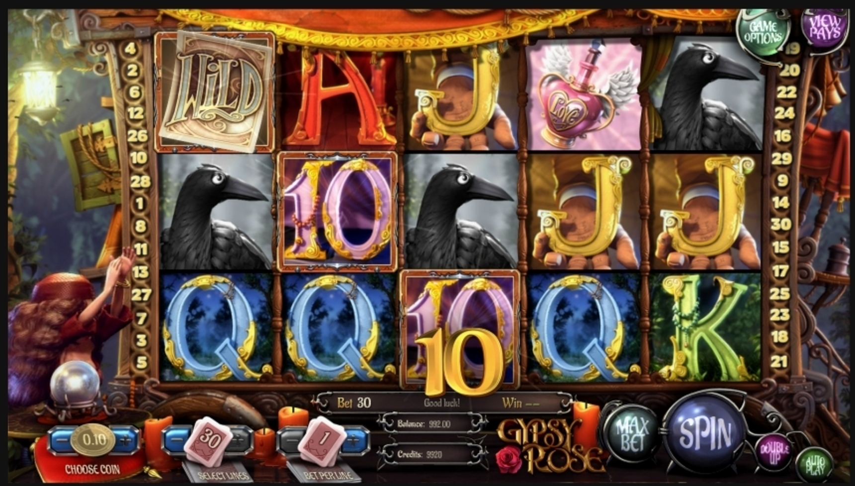Win Money in Gypsy Rose Free Slot Game by Betsoft