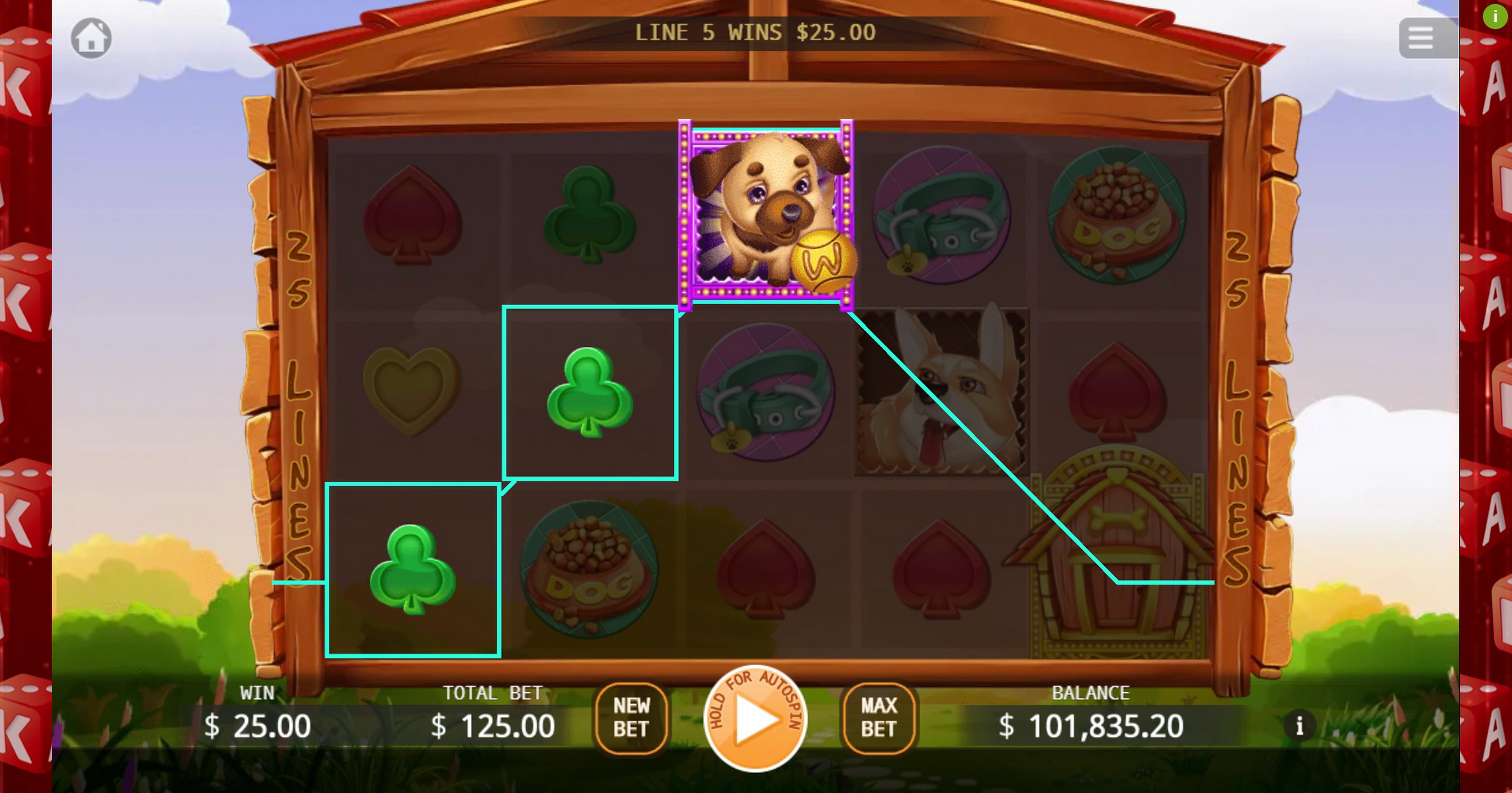 Win Money in Won Won Rich Free Slot Game by KA Gaming