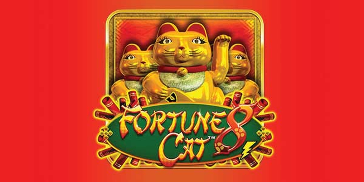 Fortune 8 Cat demo