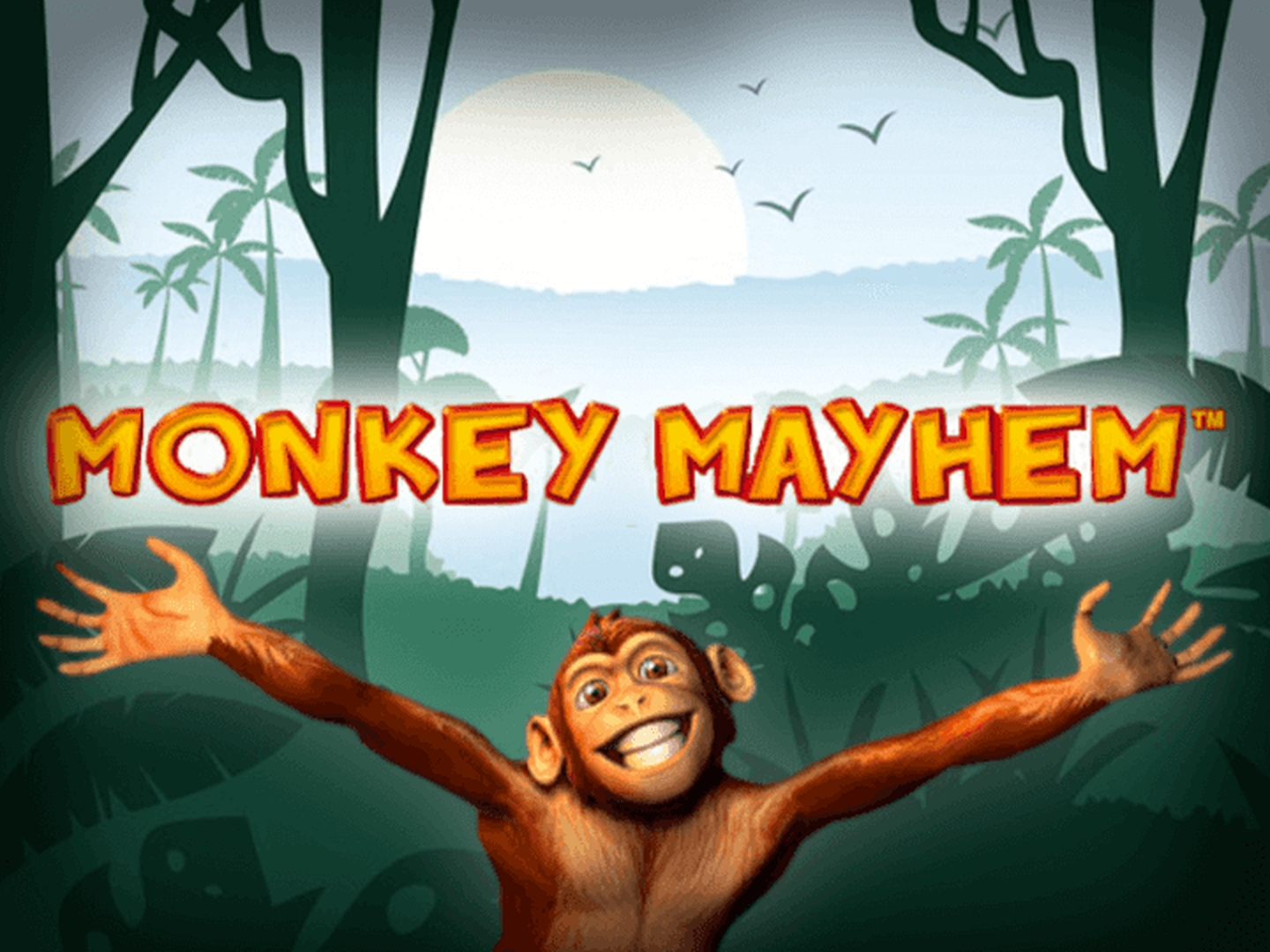 The Monkey Mayhem Online Slot Demo Game by Merkur Gaming