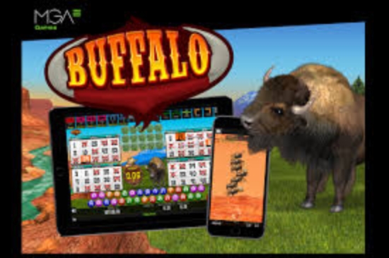 Buffalo Bingo demo