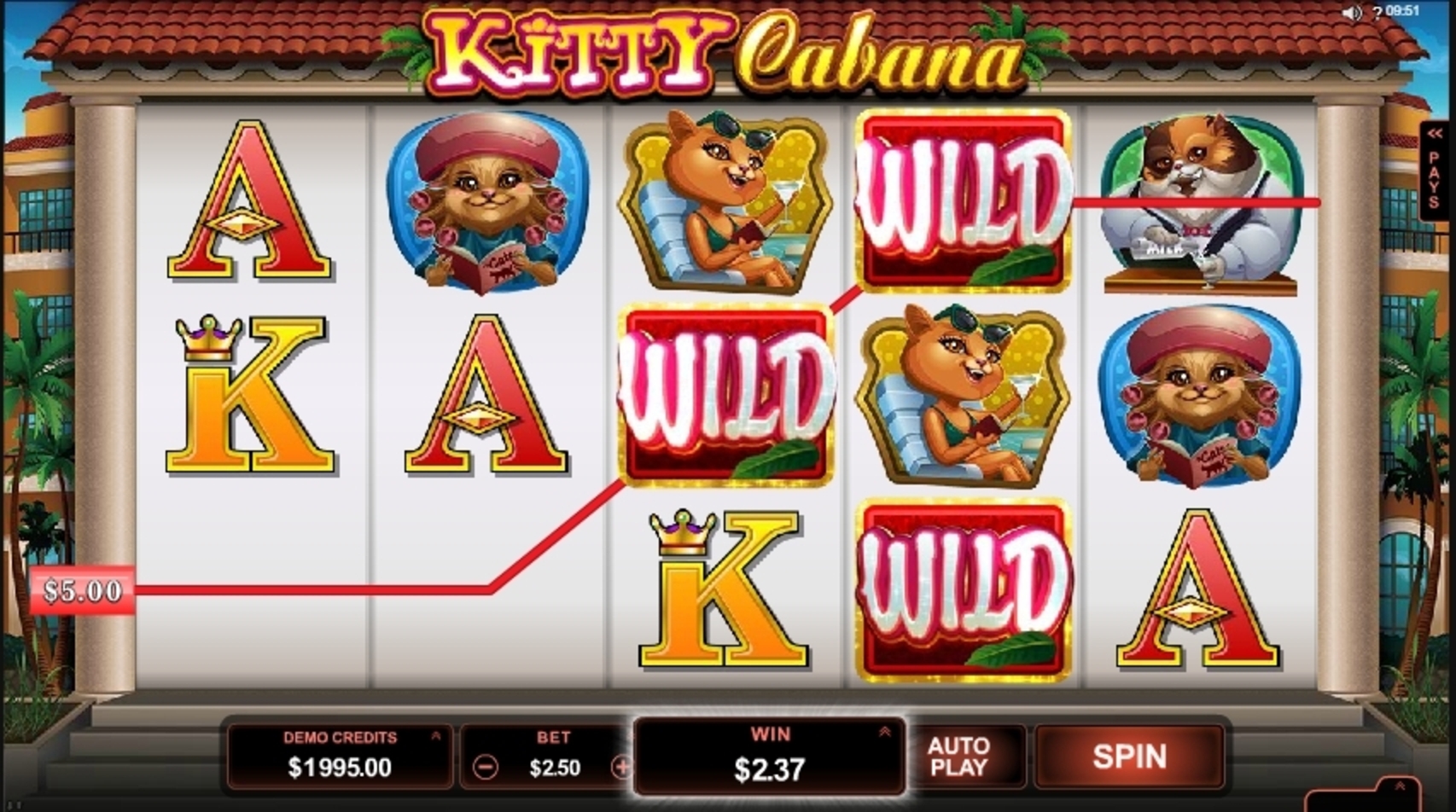 Win Money in Kitty Cabana Free Slot Game by Microgaming