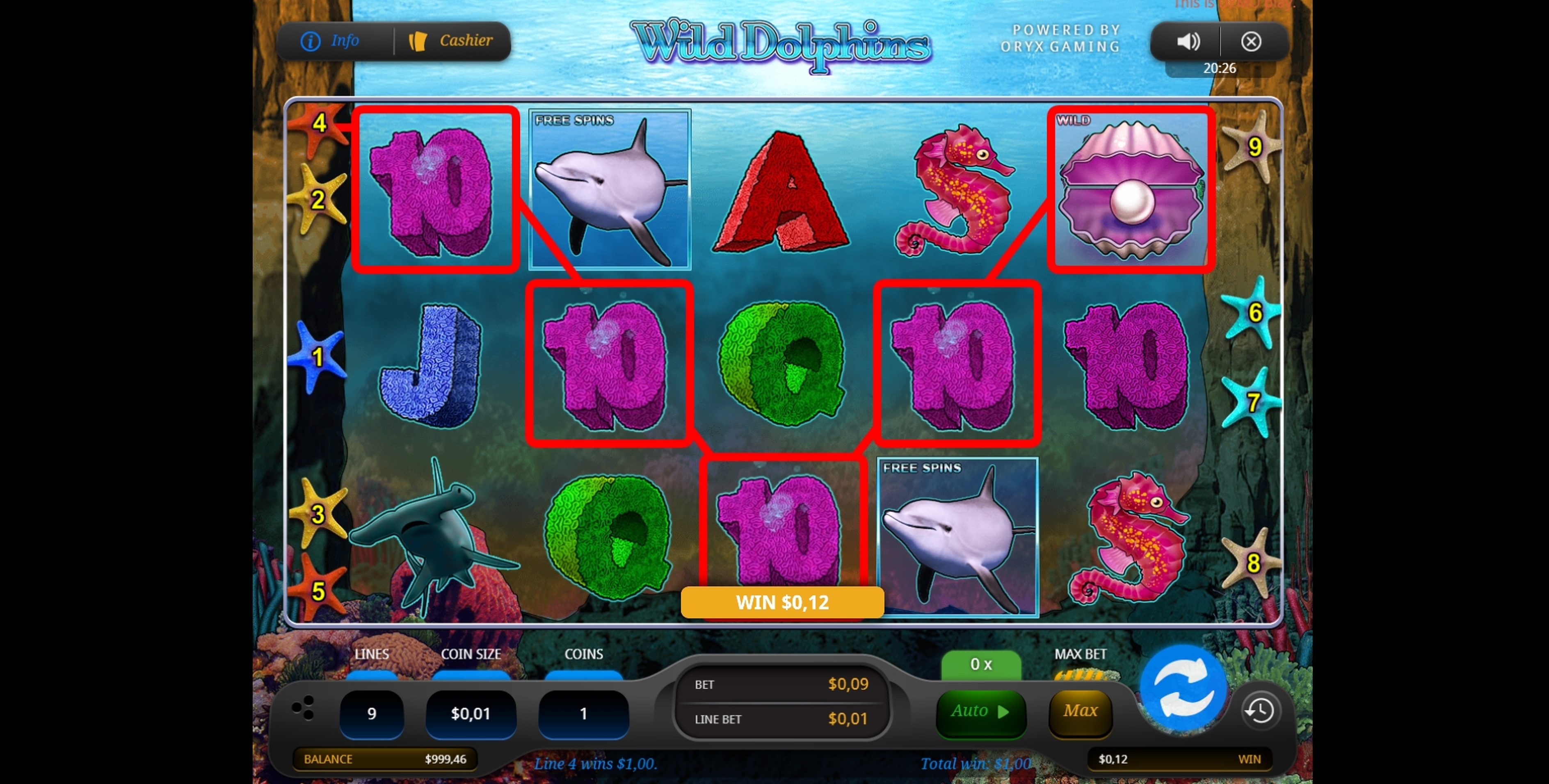 Win Money in Wild Dolphins Free Slot Game by Oryx Gaming