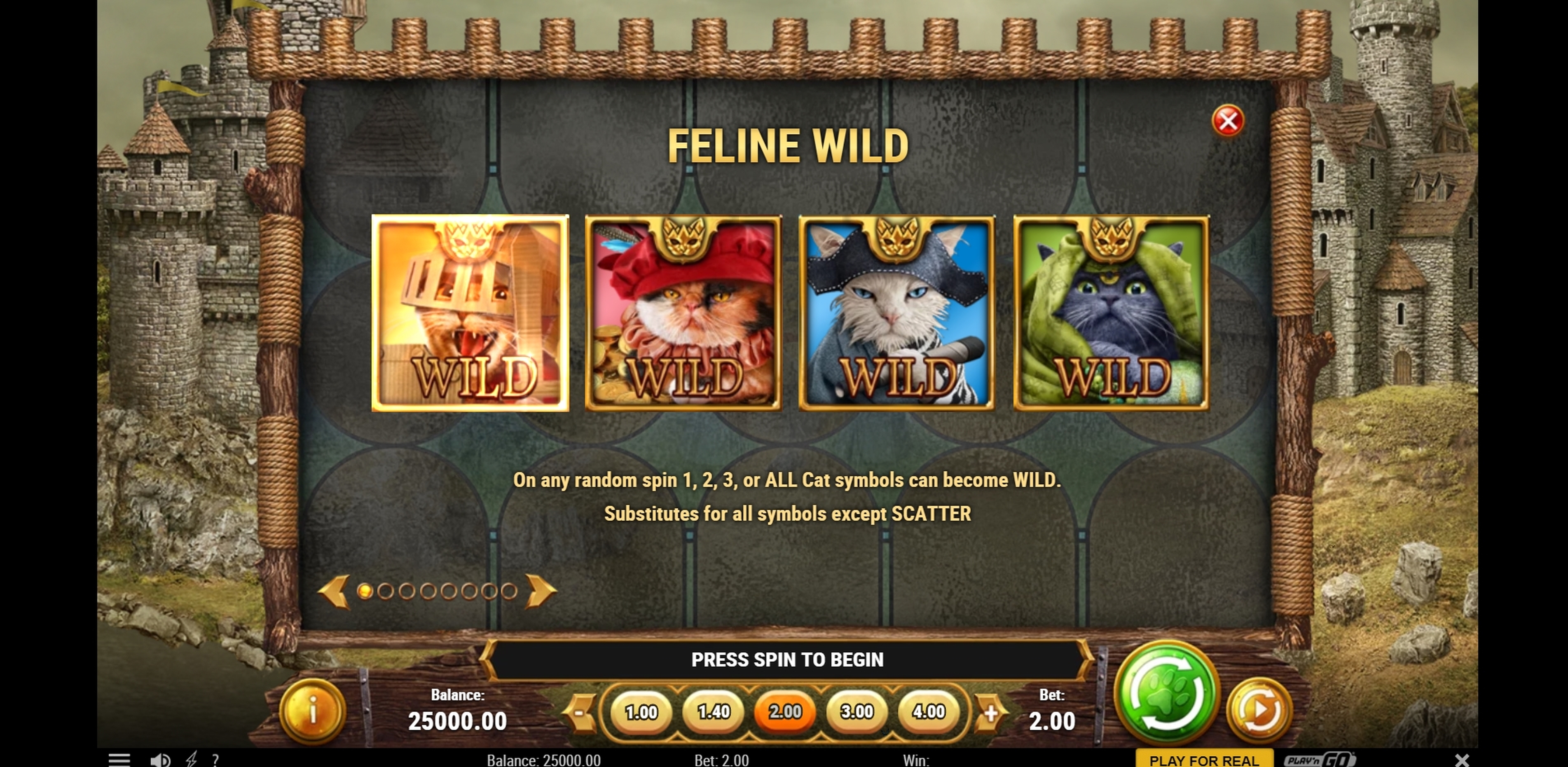 Info of Feline Fury Slot Game by Playn GO