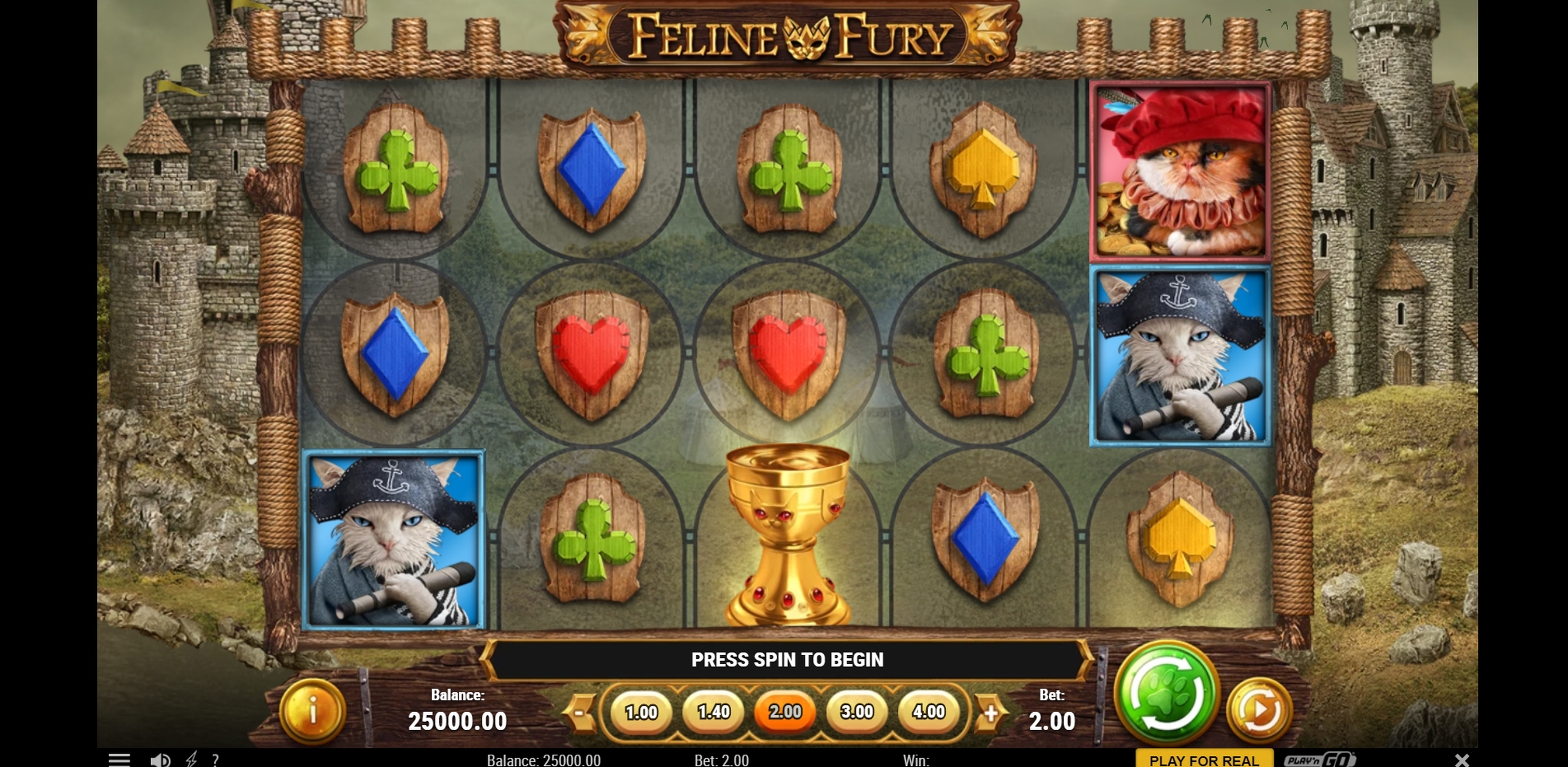 Reels in Feline Fury Slot Game by Playn GO
