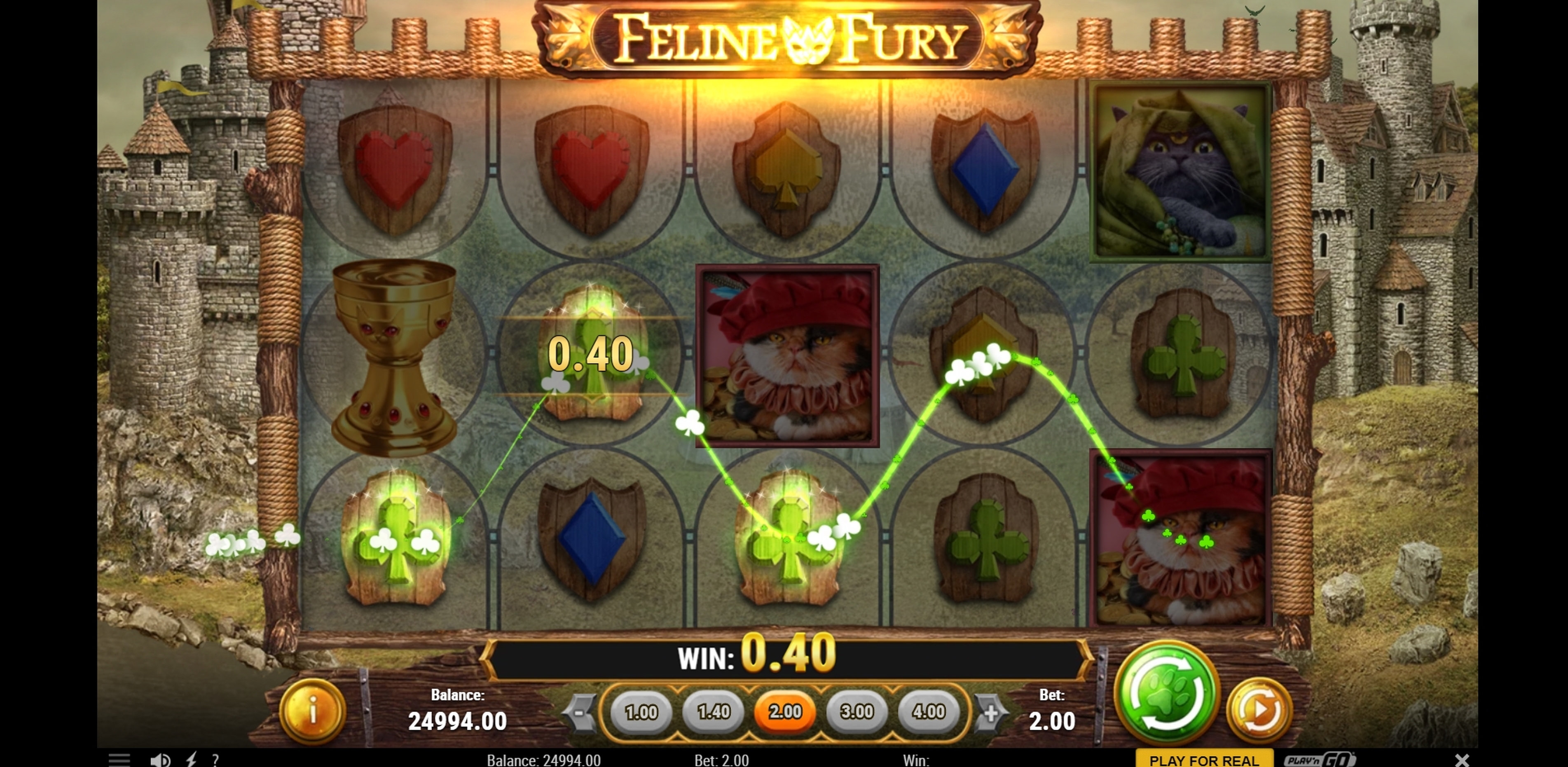 Win Money in Feline Fury Free Slot Game by Playn GO