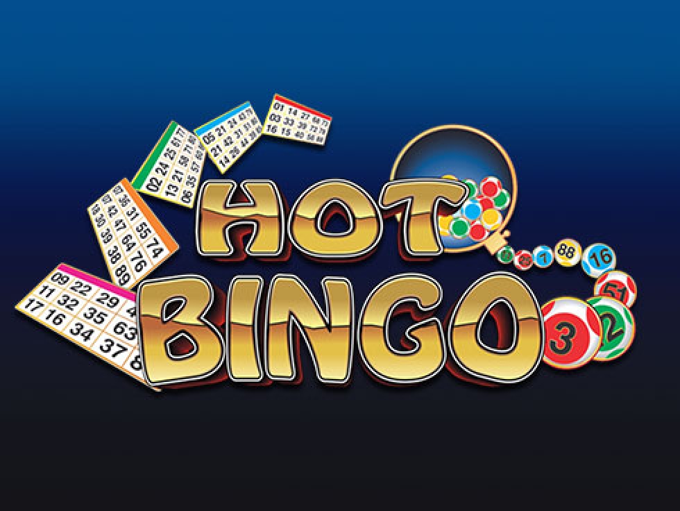 The Hot Bingo Online Slot Demo Game by Playn GO