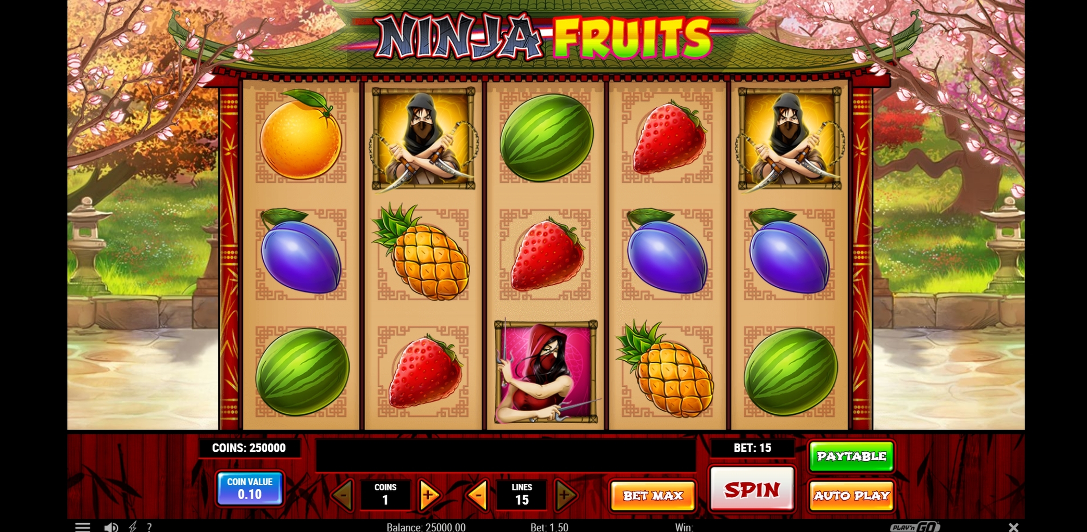 Reels in Ninja Fruits Slot Game by Playn GO
