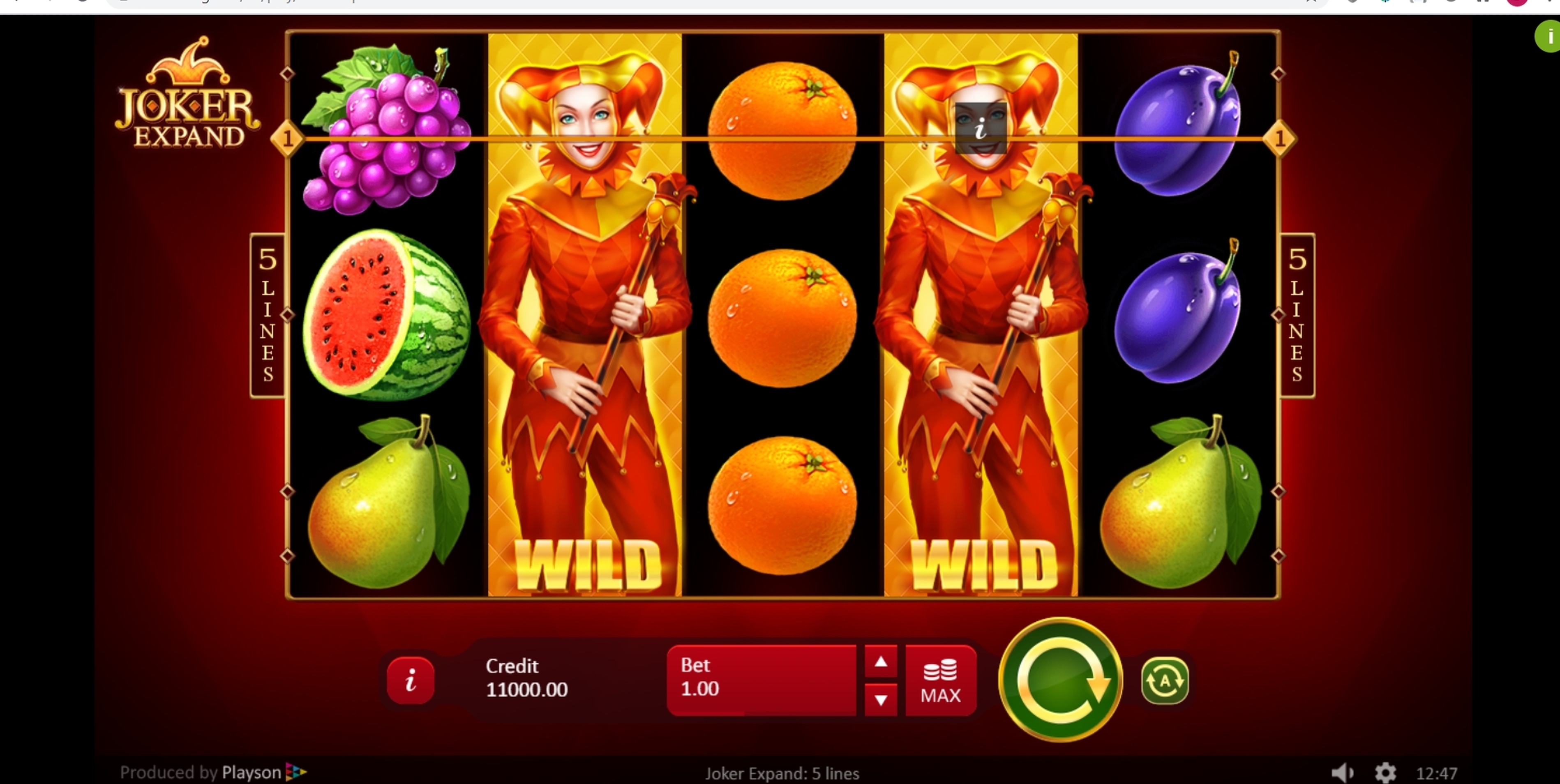 Reels in Joker Expand: 5 lines Slot Game by Playson