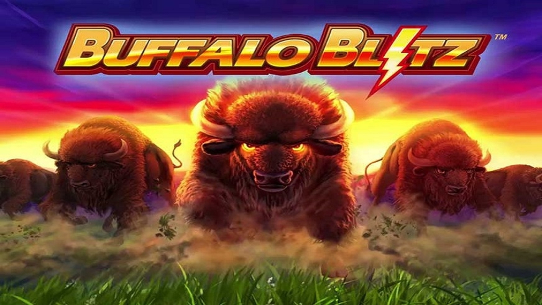 Buffalo Blitz demo