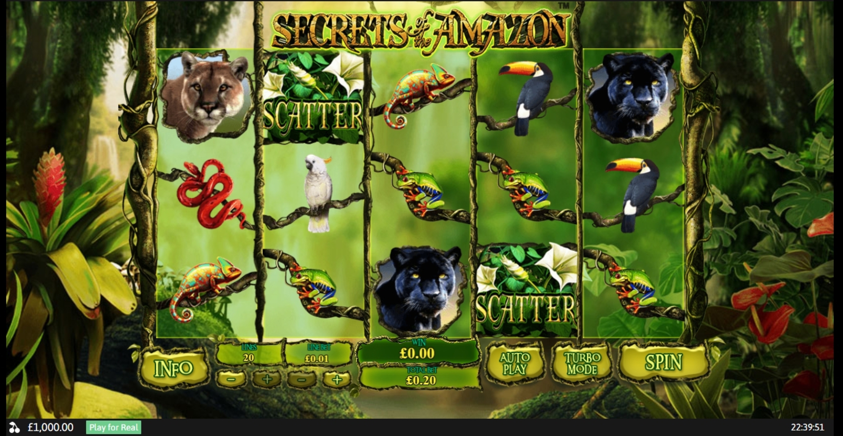 Reels in Secrets of the Amazon Slot Game by Playtech
