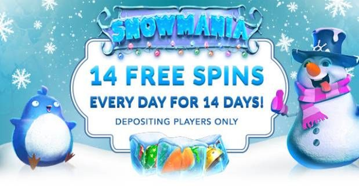 The Snowmania Online Slot Demo Game by Real Time Gaming
