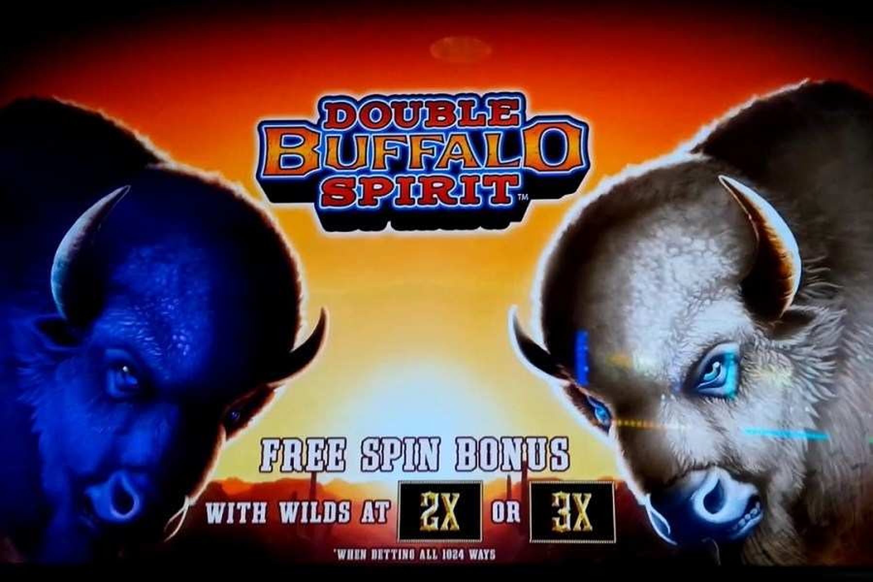 Double Buffalo Spirit demo