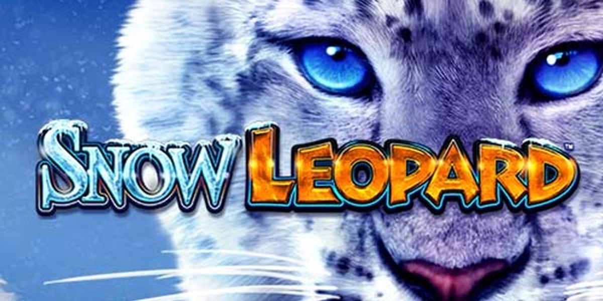 Snow Leopard demo