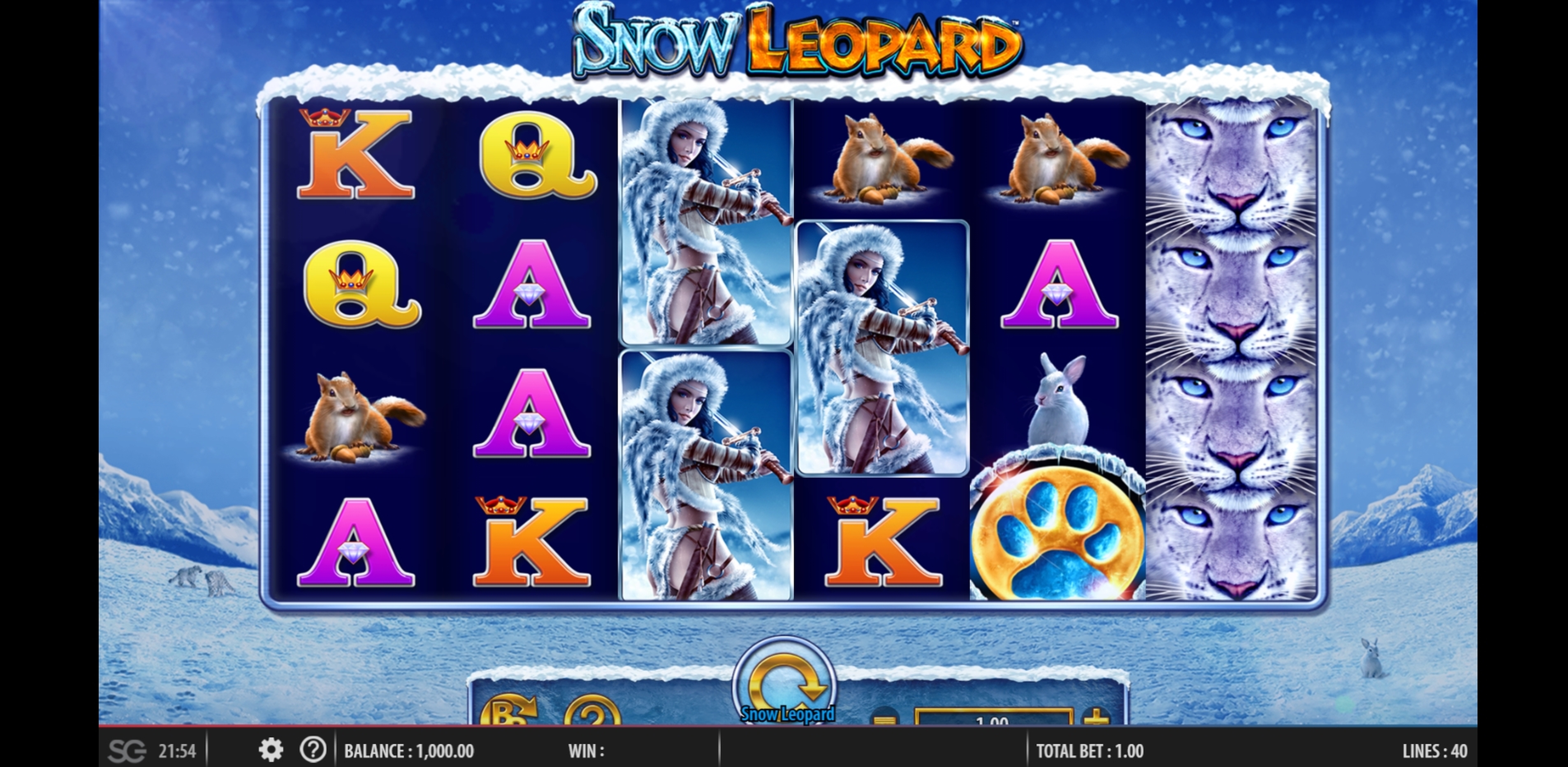 Reels in Snow Leopard Slot Game by WMS
