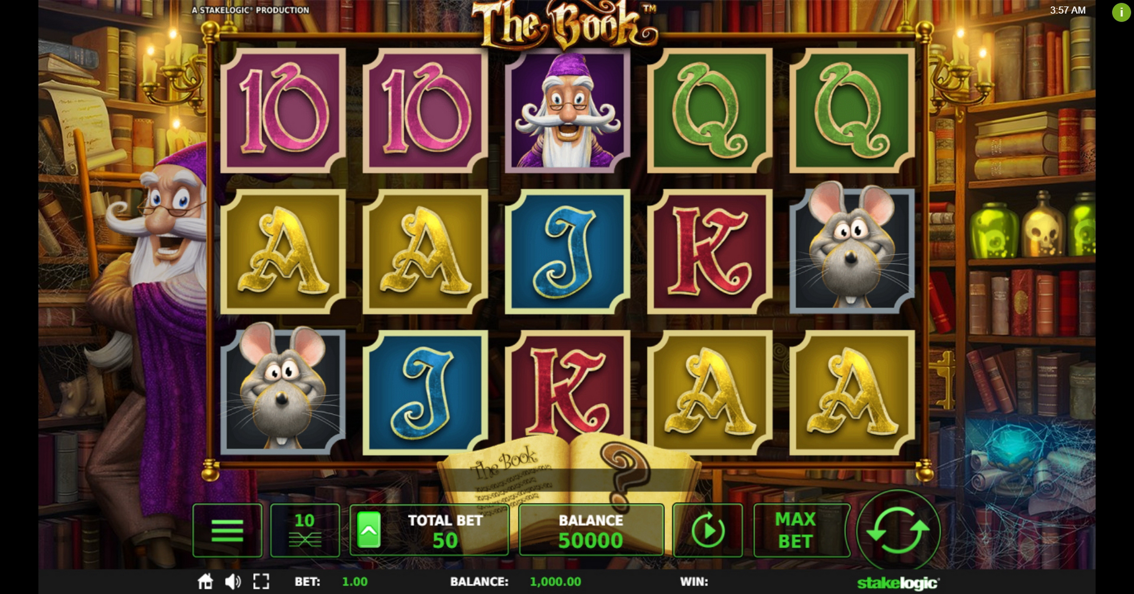 Reels in The Book Slot Game by Stakelogic