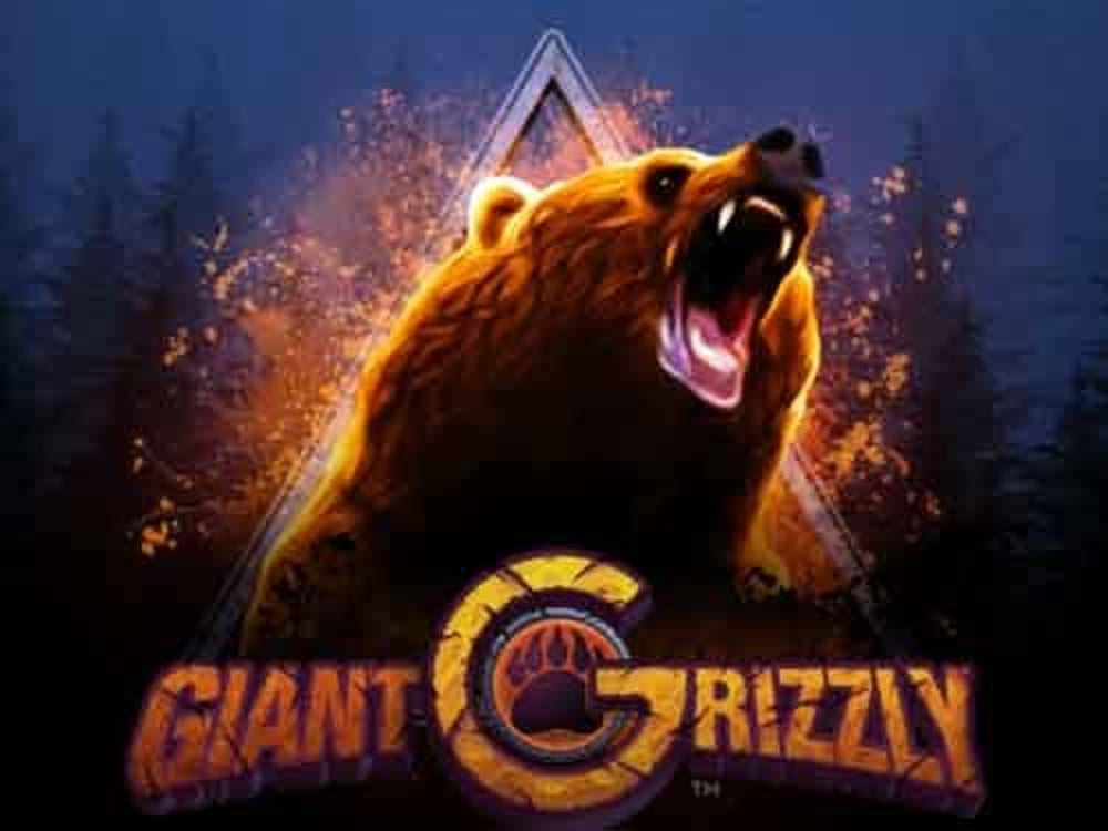 Info of Giant Grizzly Slot Game by SUNfox Games