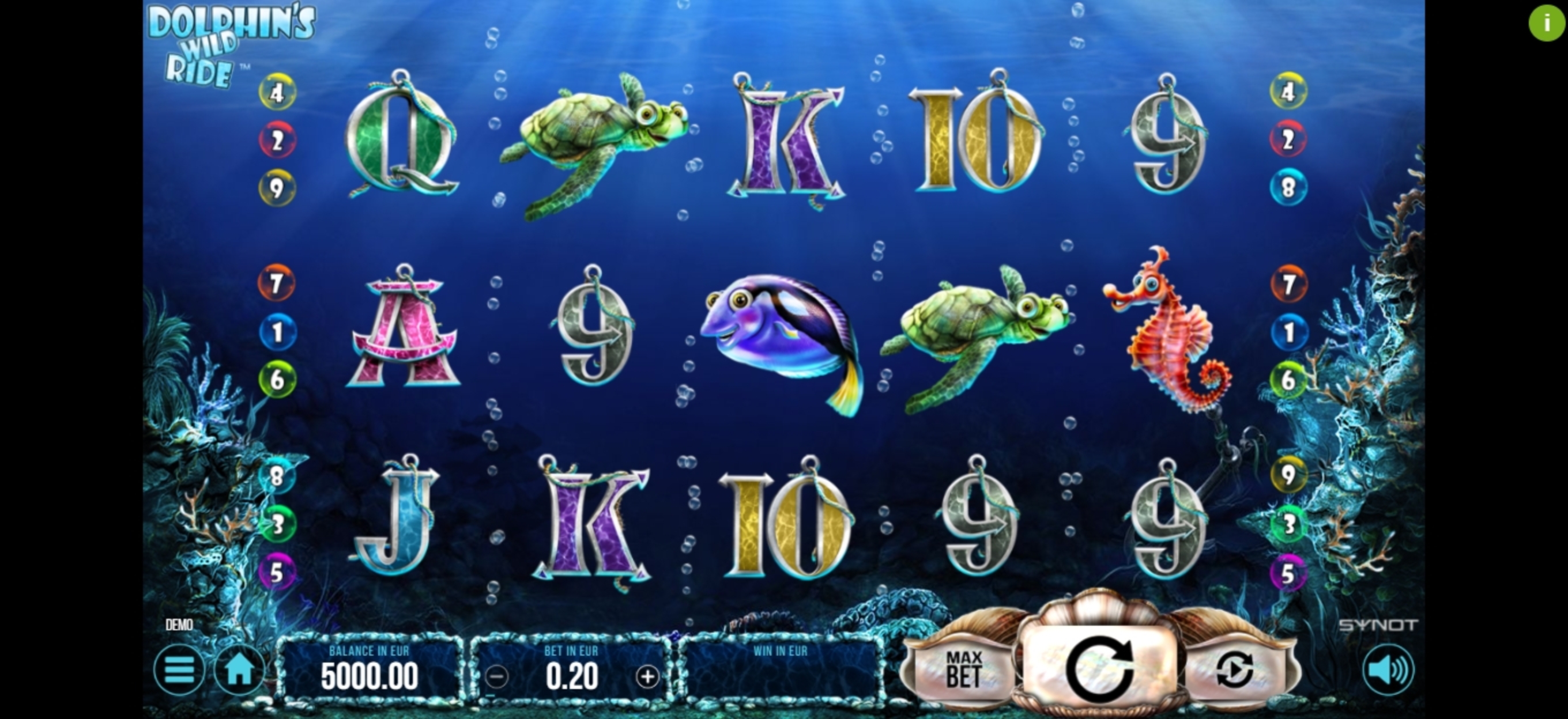 Reels in Dolphin's Wild Ride Slot Game by Synot Games
