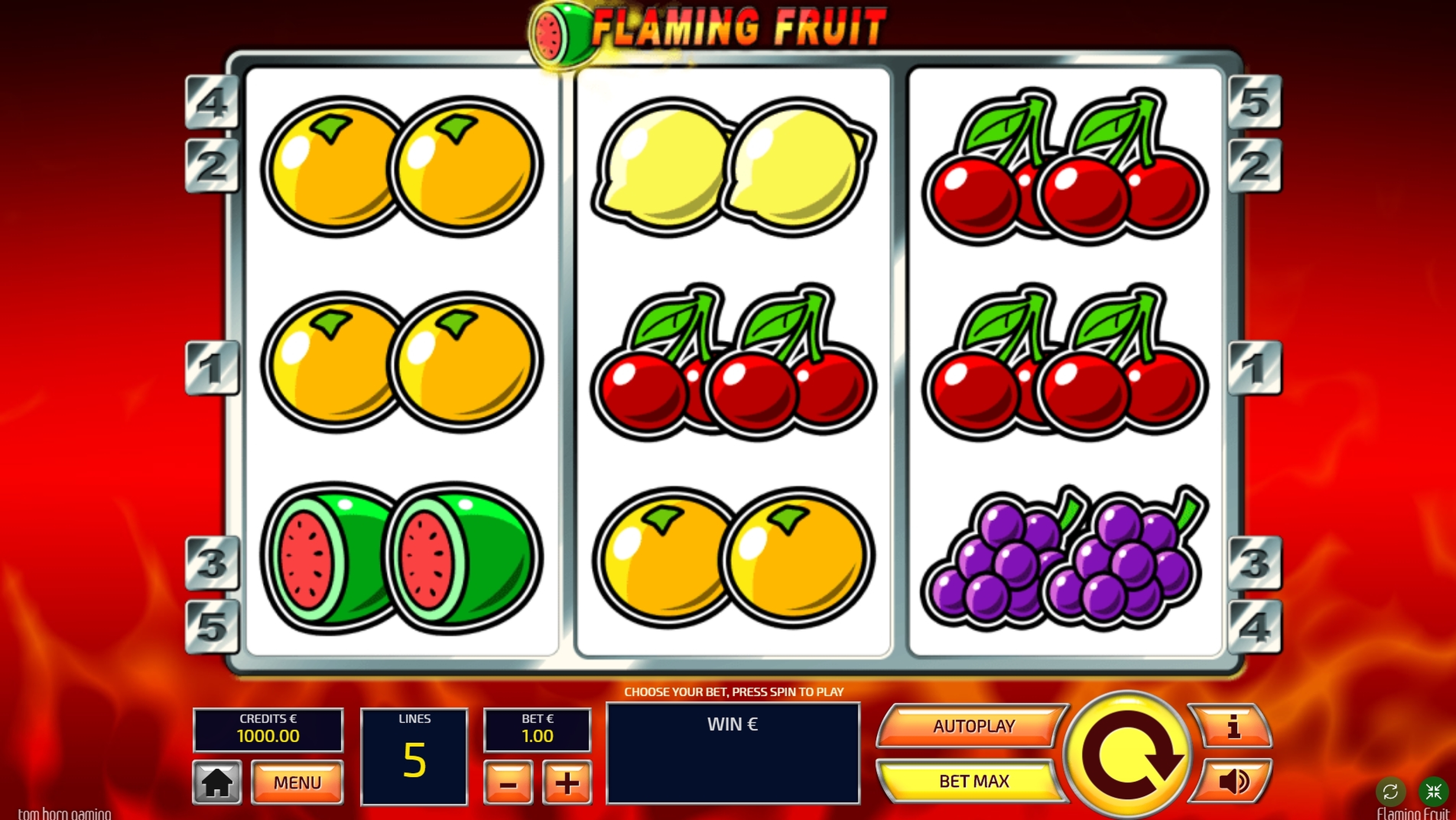 Reels in Flaming Fruit Slot Game by Tom Horn Gaming