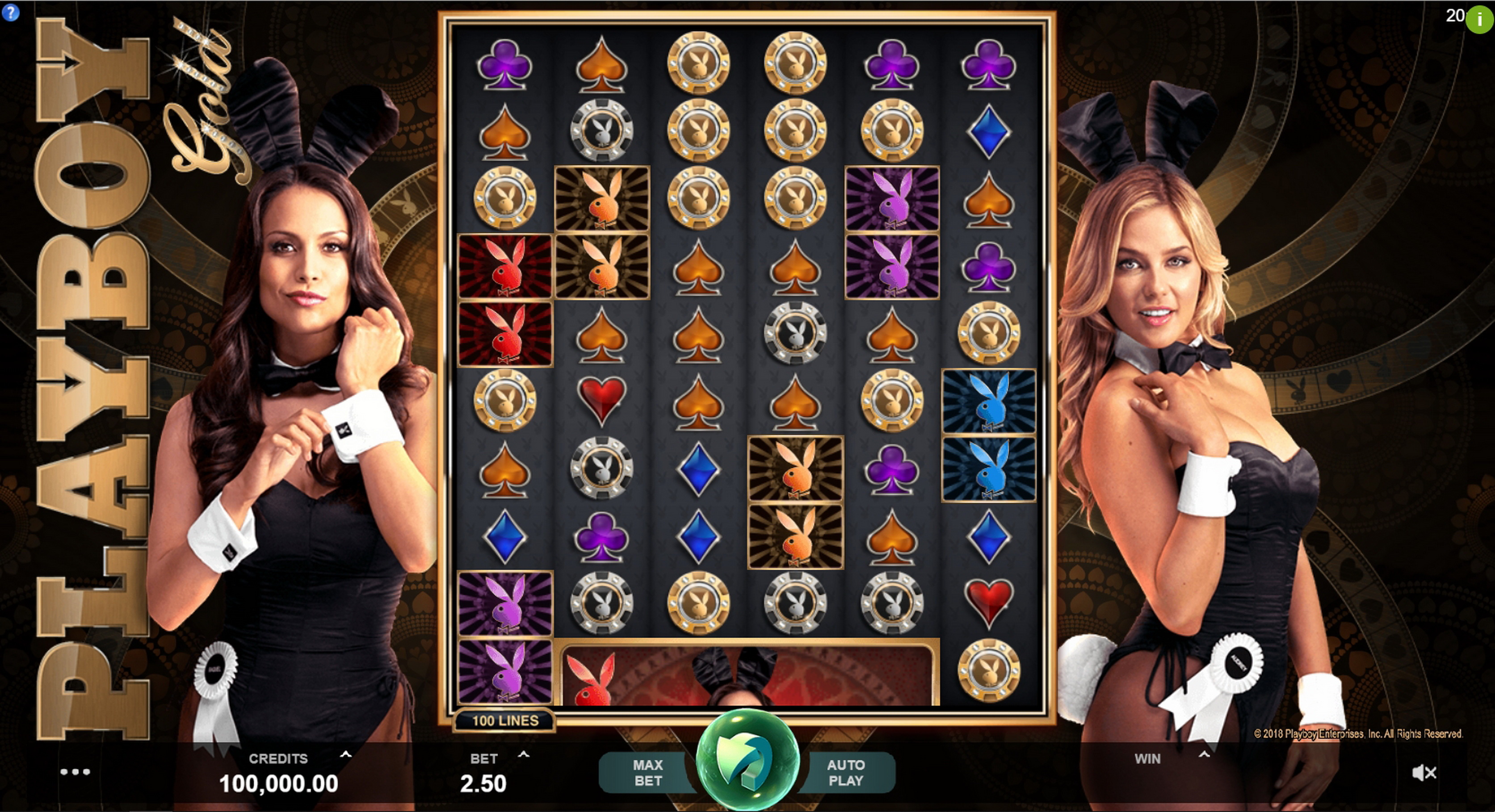 Reels in Playboy Gold Slot Game by Triple Edge Studios